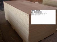 Sell commercial plywood for construction(SKYPE: candice998)