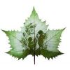 Sell leaf carving---childhood