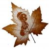 Sell leaf carving---piquant boy