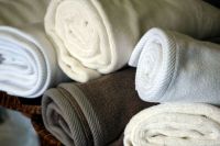 Sell Organic Towel