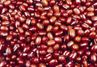 Sell organic small red beans