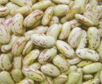 Sell light speckled kidney bean