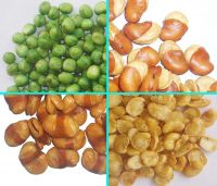 Sell fried broad beans/ broad bean with belt/split broad beans
