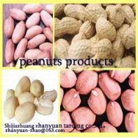 Sell peanuts series products