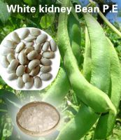 Sell White Kidney Bean Extract with Phaseolamin