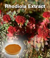 Sell Rhodiola Extract with Salidroside, Rosavin