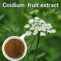 Sell Common Cnidium Extract with Osthole