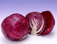 Sell Red Cabbage color
