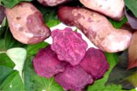 Sell Purple sweet potato Red color