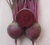 Sell Beet Red Color