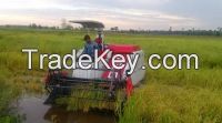 Sell Rice and Wheat Combine Harvester