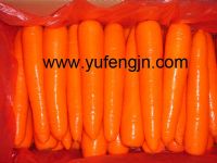 Sell fresh carrot