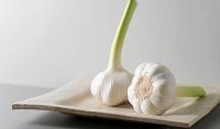 Chinese garlic manufacturer