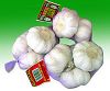 Sell pure white garlic new crop