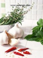 Sell fresh garlic, ginger, onion, carrot