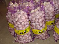 Sell chinese garlic 10kg per mesh bags