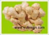 Sell half air dried ginger