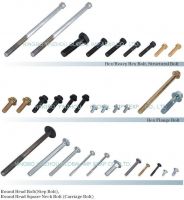 hex /hex flange/ carriage bolt