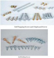 self tapping /self drilling /chipboard /drywall/wood/ machine screw