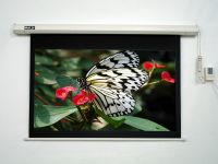 Sell High quality Motorized Screen