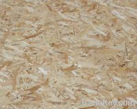 Sell OSB2 oriented strand board
