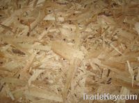 Sell OSB made in china