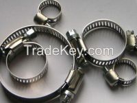 worm drive hose clamp