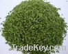 Sell dehydrated chive rings
