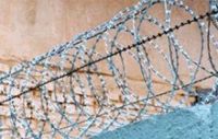 Sell Concertina Cross Razor Wire