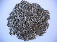 Sell sunflower seed