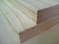 Sell Softwood Scaffolding Plank (Pine LVL Wood)