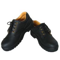 safety-shoes T109