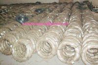 Sell Electro Galvanized Iron Wire BWG22