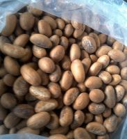 Top Quality 100% Pure Kola Nut and Bitter Cola Nut for sale.