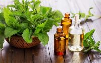 Patchouli Essential Oil