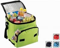 Sell cooler bag BSB224