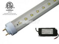 Sell  ETL Approved T8 LED Tube Lights