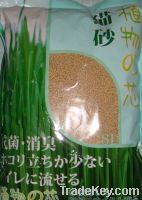 clumping rice hulls cat litter