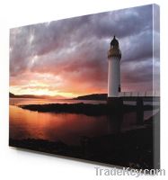 Sell eco solvent print polyester canvas