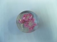 Sell real flower embedment paperweight