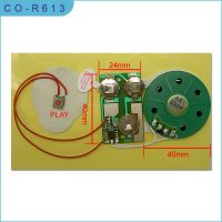 Sell voice chip for greeting card