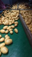 potatoes