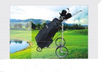 Water-proof Electric golf trolley