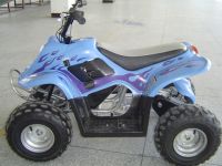 Powerful electric ATV