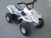 New electric ATV Quad