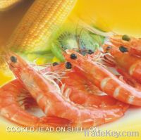 Sell FROZEN WHITE SHRIMP COOKED HEAD ON SHELL ON (COOKED HOSO)