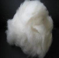Sell Special Fine Wool