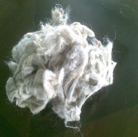 Sell Scoured Wool
