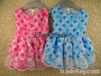 Sell  Pet Clothes DF3