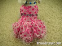 Sell  Pet Clothes DF4